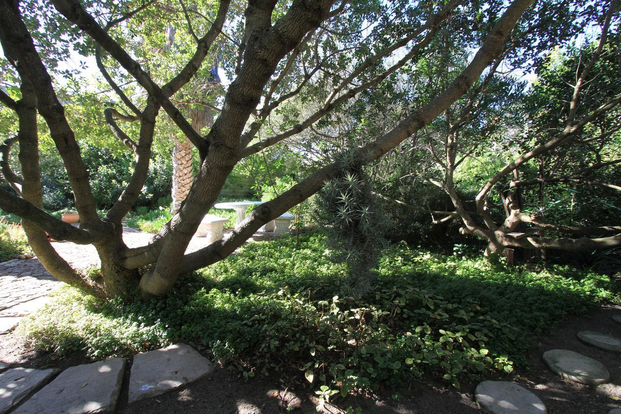 Haven Of Peace And Garden Cottage Hermanus Exterior foto